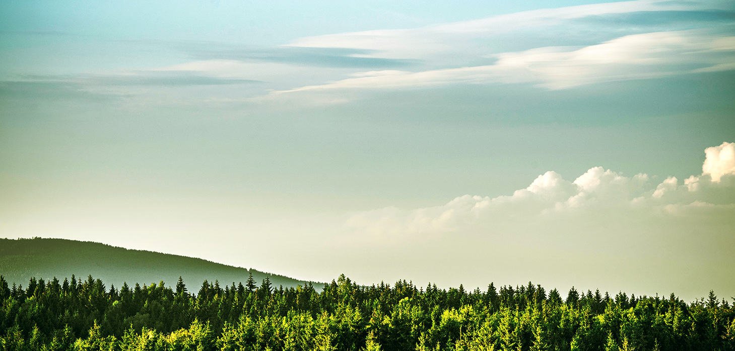 course_bg
