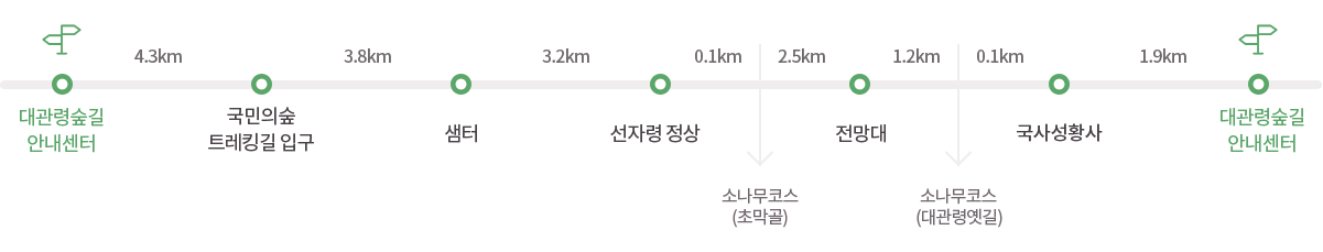 세부코스