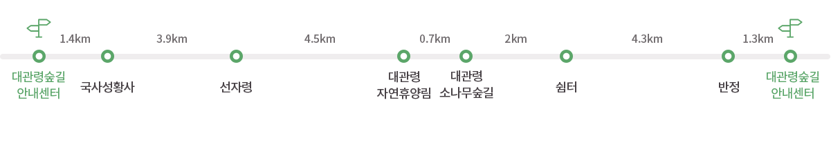 세부코스