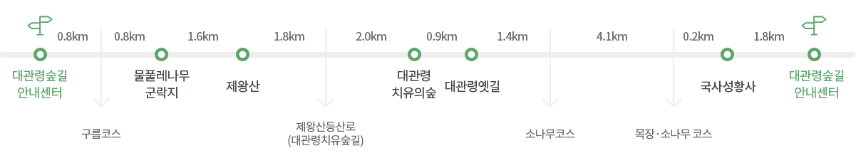 세부코스