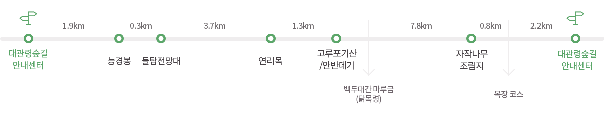 세부코스
