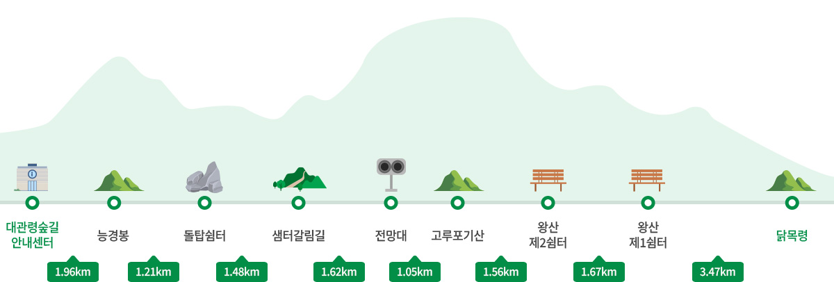 코스안내