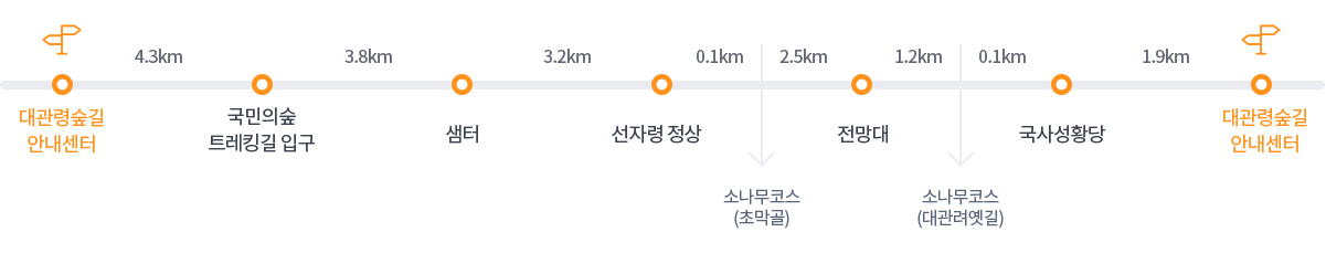 세부코스