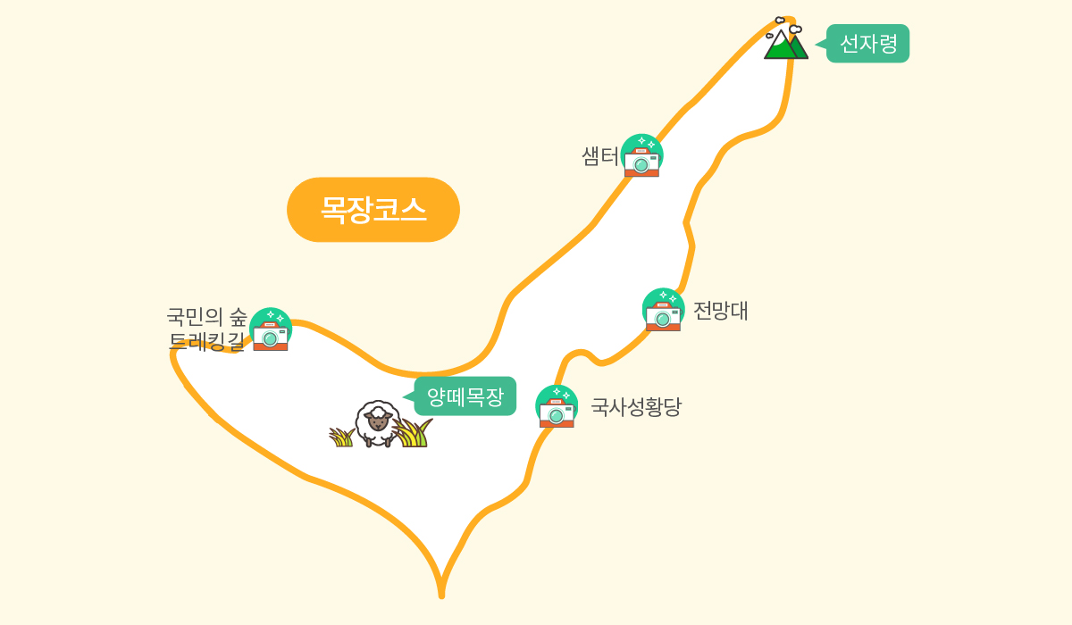 세부코스