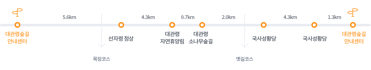 세부코스