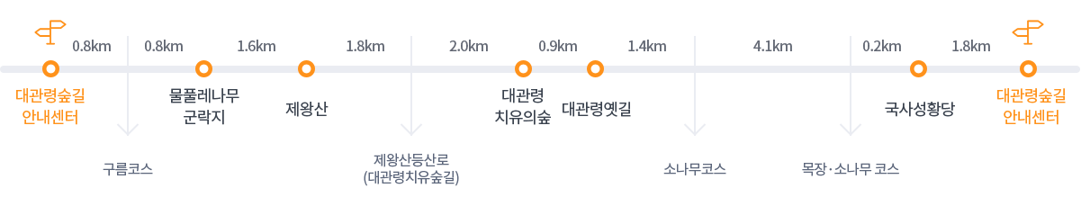 세부코스