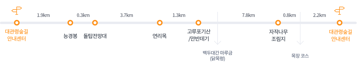 세부코스