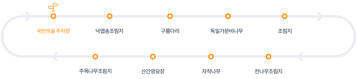 세부코스