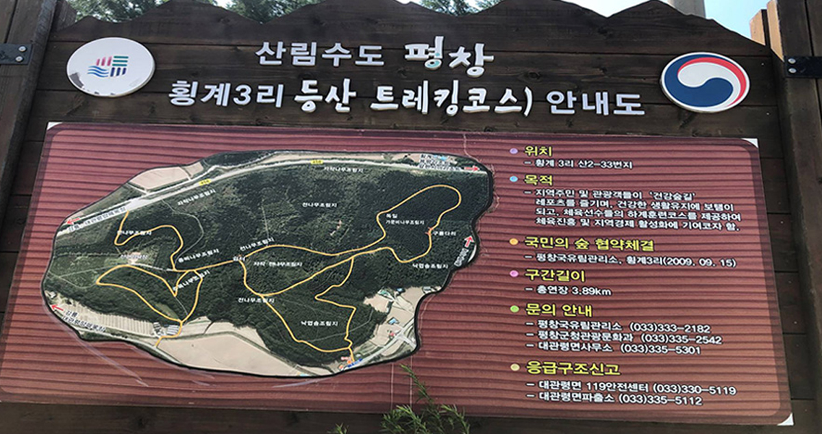 세부코스